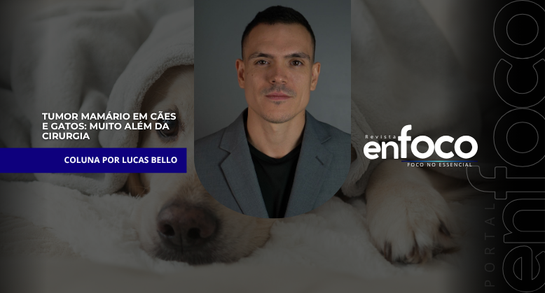 Tumor Mamário em Cães e Gatos: Muito Além da Cirurgia