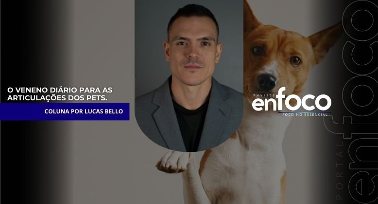 O veneno diário para as articulações dos pets.