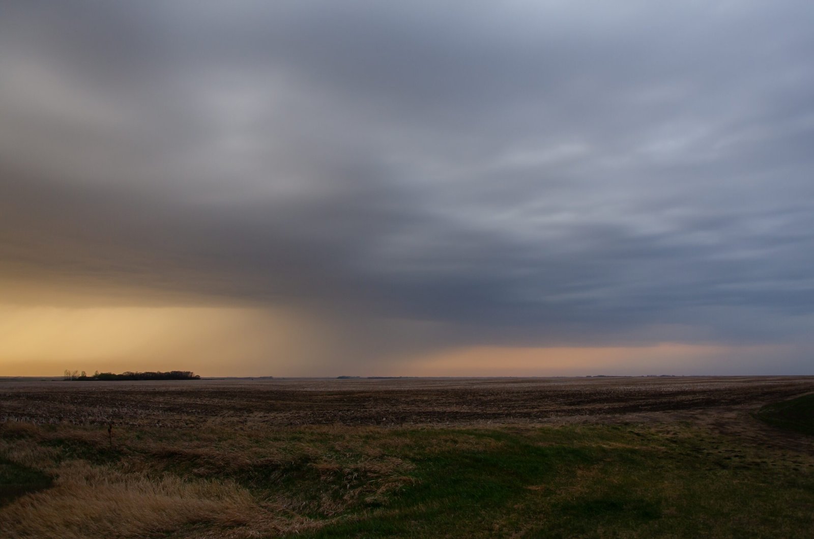 A long field covered in greens gleaming under the cloudy and rainy sky