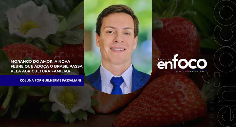 Morango do Amor: a nova febre que adoça o Brasil passa pela Agricultura Familiar