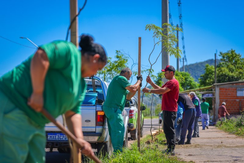 Projeto “Rua Mais Arborizada” transforma a paisagem da Perimetral Dom Ivo Lorscheiter