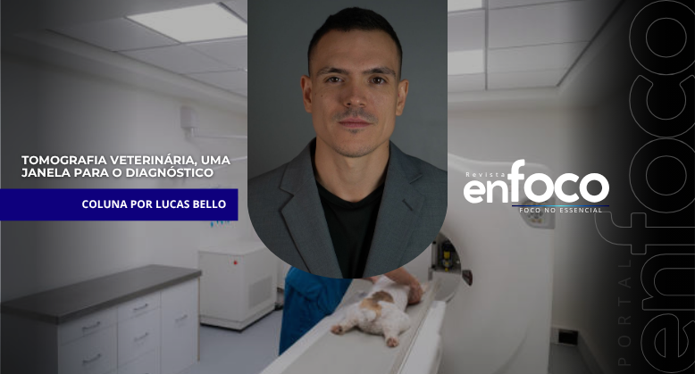 Tomografia veterinária, uma janela para o diagnóstico