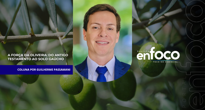 A Força da Oliveira: do Antigo Testamento ao solo gaúcho