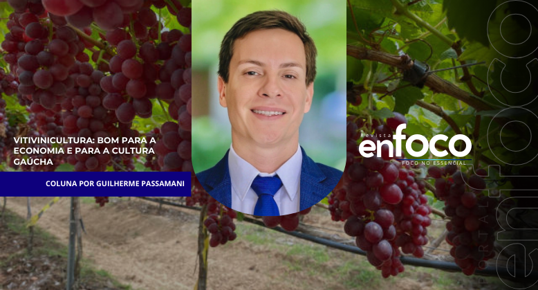 Vitivinicultura: bom para a economia e para a cultura gaúcha