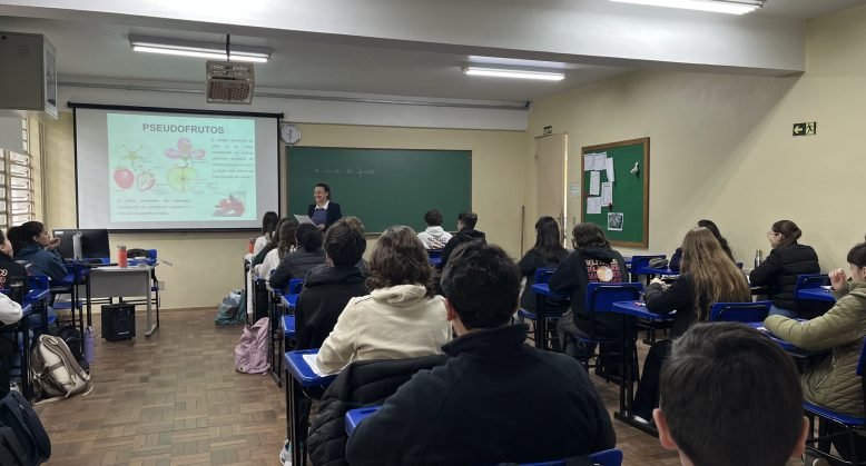 Santa Maria entre as melhores do Brasil em educação