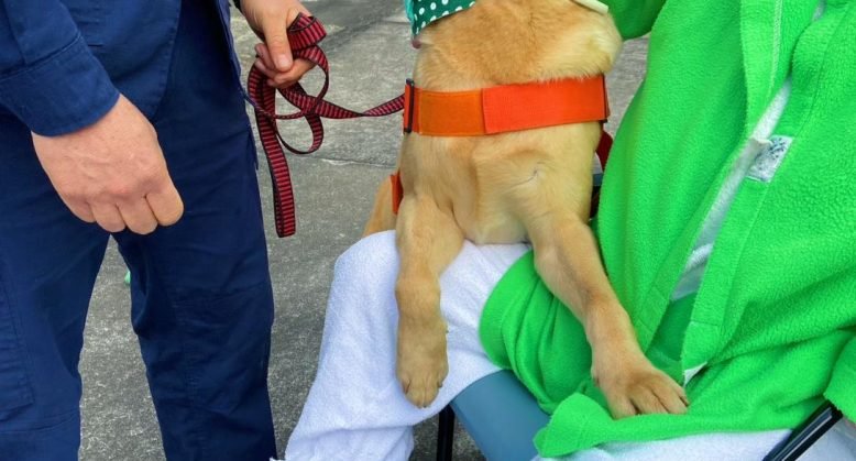 Cinoterapia: quando o afeto de um cão vira remédio para a alma