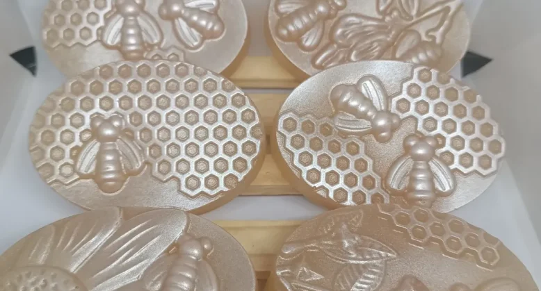 Meliponicultura cresce no RS unindo ciência, conservação e empreendedorismo