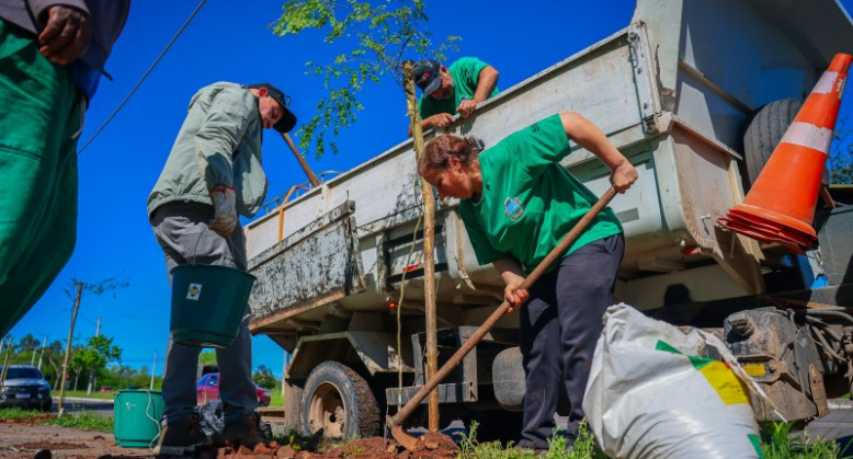 Prefeitura inicia arborização da Perimetral Dom Ivo Lorscheiter